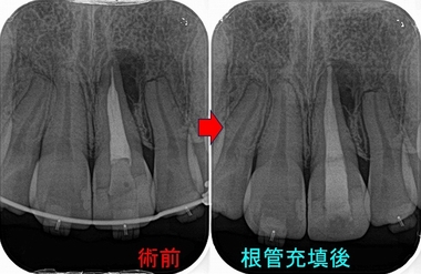2026 EEdental MAA (2).jpg