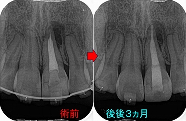 2026 EEdental MAA (3).jpg
