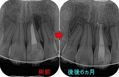2026 EEdental MAA (5).jpg