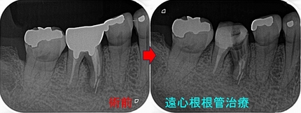 2026 EEdental NAM (2).jpg