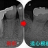 2026 EEdental NAM (2).jpg