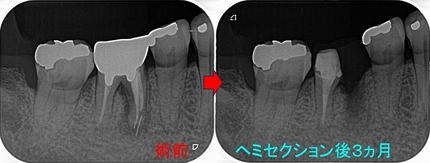 2026 EEdental NAM (3).jpg