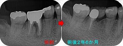 2026 EEdental NAM (4).jpg