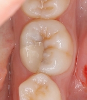 2026 EEdental NNS (2).jpg