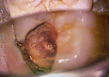 2026 EEdental NNS (3).jpg