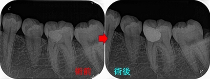 2026 EEdental NNS (4).jpg