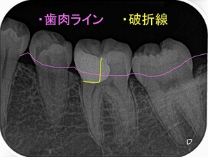 2026 EEdental NNS (6).jpg