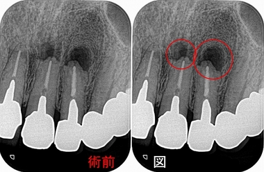 2026 EEdental SMA (1).jpg