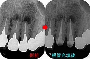 2026 EEdental SMA (2).jpg