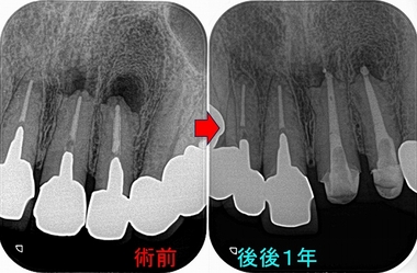 2026 EEdental SMA (3).jpg