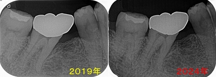 2025 EEdental OZU (1).jpg