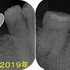 2025 EEdental OZU (1).jpg