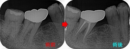 2025 EEdental OZU (3).jpg