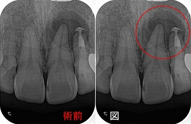 2026 EEdental INA (1).jpg