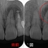 2026 EEdental INA (1).jpg