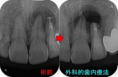 2026 EEdental INA (2).jpg