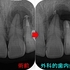 2026 EEdental INA (2).jpg