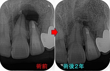 2026 EEdental INA (3).jpg