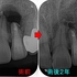 2026 EEdental INA (3).jpg