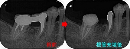 2026 EEdental ISA (2).jpg