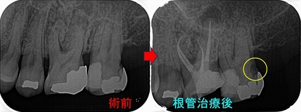 2026 EEdental ITY (2).jpg