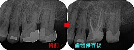 2026 EEdental ITY (3).jpg