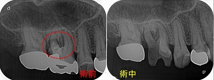 2026 EEdental KSA (1).jpg