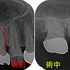 2026 EEdental KSA (1).jpg