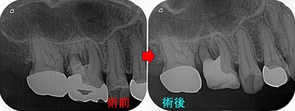 2026 EEdental KSA (2).jpg