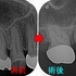 2026 EEdental KSA (2).jpg