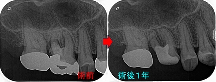 2026 EEdental KSA (3).jpg