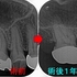 2026 EEdental KSA (3).jpg