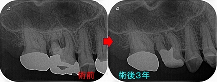 2026 EEdental KSA (4).jpg