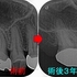 2026 EEdental KSA (4).jpg
