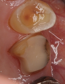 2026 EEdental KSA (5).jpg