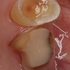 2026 EEdental KSA (5).jpg