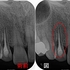 2026 EEdental MAE (1).jpg