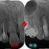 2026 EEdental MAE (2).jpg