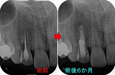 2026 EEdental MAE (3).jpg