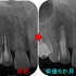 2026 EEdental MAE (3).jpg