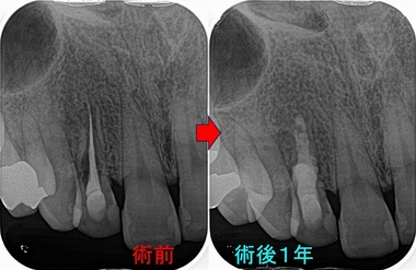 2026 EEdental MAE (4).jpg