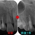 2026 EEdental MAE (4).jpg