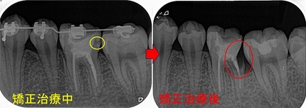 2026 EEdental SSY (1).jpg