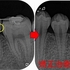 2026 EEdental SSY (1).jpg
