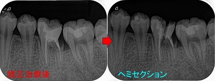 2026 EEdental SSY (2).jpg
