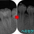 2026 EEdental SSY (2).jpg