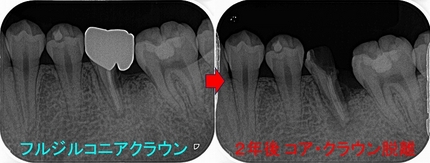 2026 EEdental SSY (3).jpg