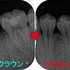 2026 EEdental SSY (3).jpg
