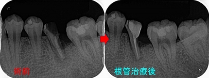 2026 EEdental SSY (4).jpg