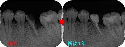 2026 EEdental SSY (5).jpg